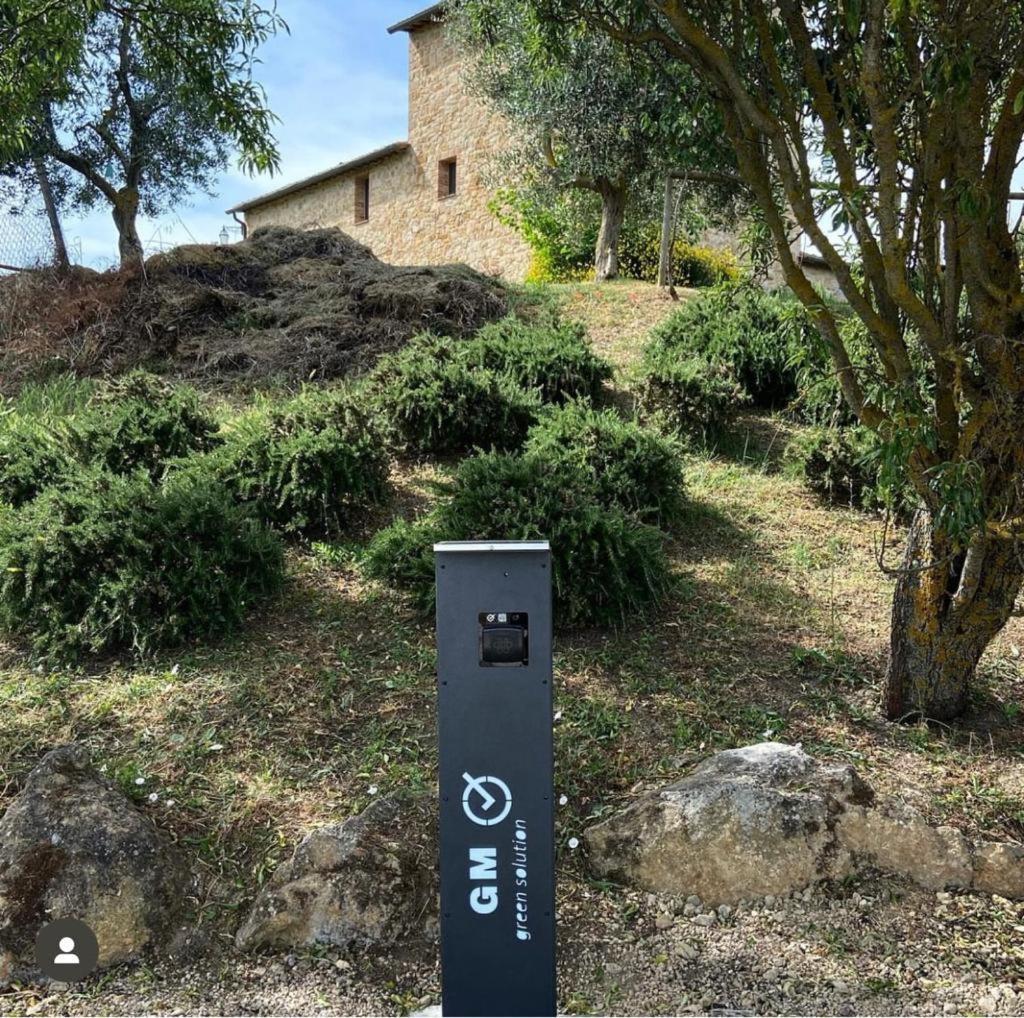 Agriturismo Il Macchione Pienza Eksteriør bilde