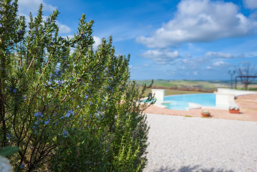 Agriturismo Il Macchione Pienza Eksteriør bilde